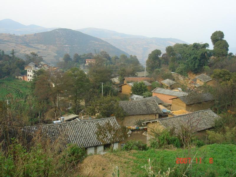 他禿村 他禿村