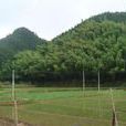曹門村(浙江省衢州市開化縣中村鄉下轄村) 曹門村(浙江省衢州市開化縣中村鄉下轄村)