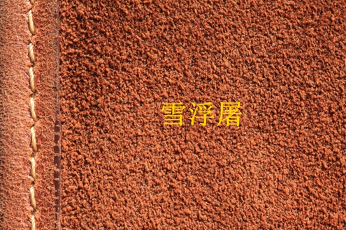 雪浮屠 雪浮屠