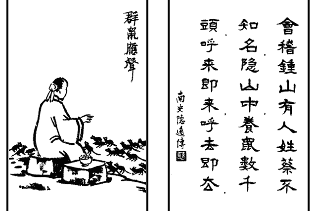 群鼠應聲 群鼠應聲