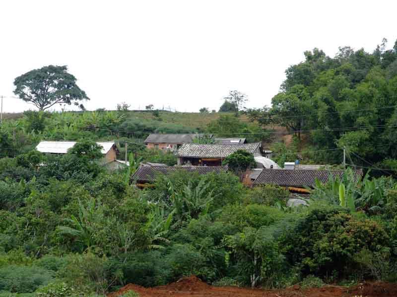 亮塘村 亮塘村