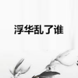浮華亂了誰 浮華亂了誰