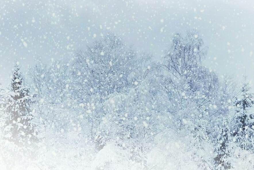 望雪(侯雨霏創作並演唱的個人單曲) 望雪(侯雨霏創作並演唱的個人單曲)