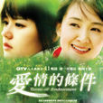 愛情的條件(韓國2004年金宗昌導演電視劇) 愛情的條件(韓國2004年金宗昌導演電視劇)