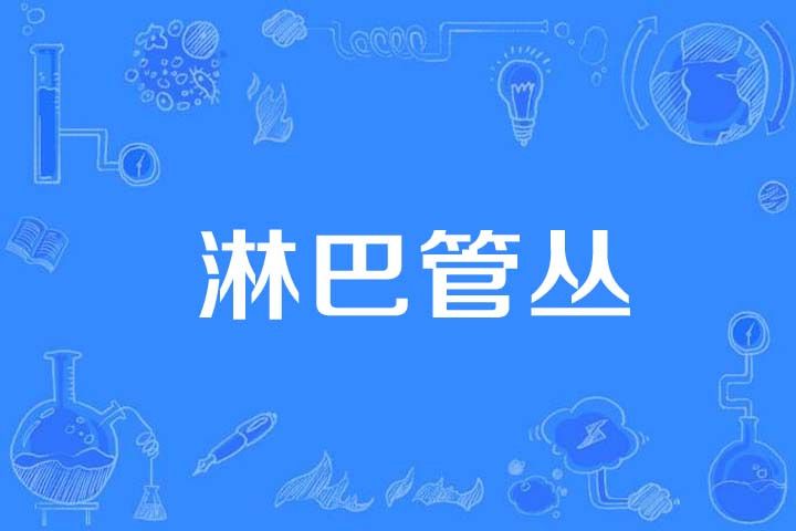 淋巴管叢 淋巴管叢