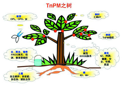 TPM的根基