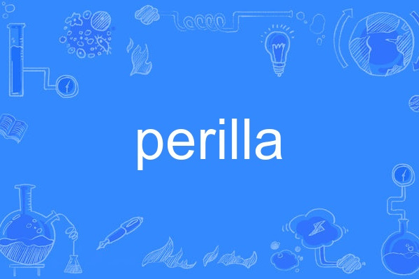 perilla perilla