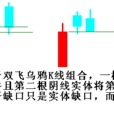雙飛烏鴉 雙飛烏鴉
