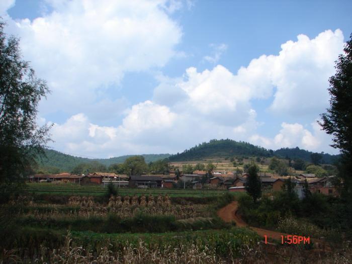 庶樂上村 庶樂上村
