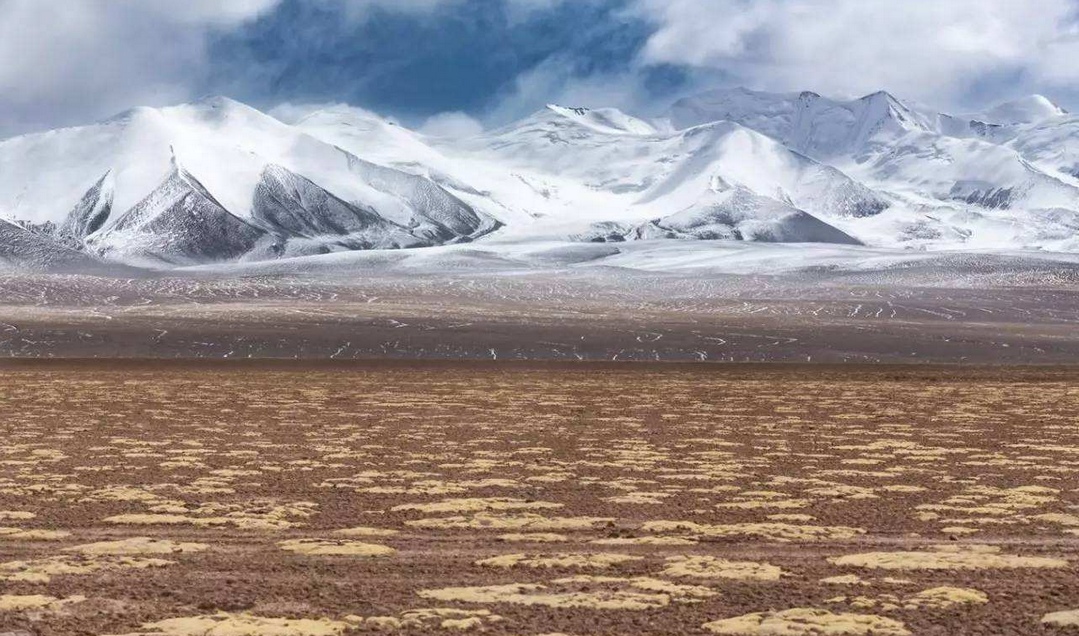 祁連山區哈拉湖盆地中的荒漠植被