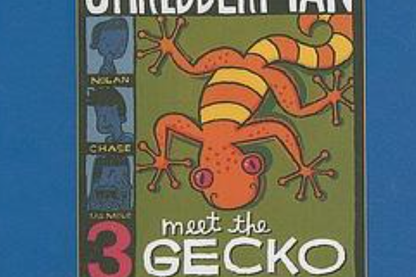 Meet the Gecko Meet the Gecko