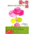 愛的奇蹟(日本圖書)