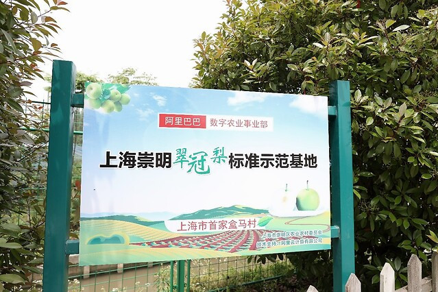 盒馬村 盒馬村
