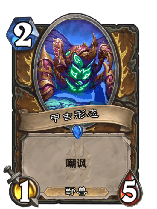 甲蟲形態