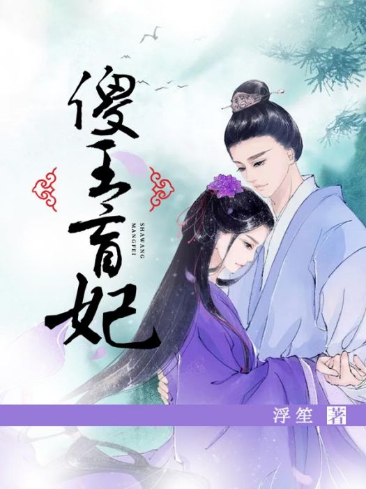 傻王盲妃 傻王盲妃