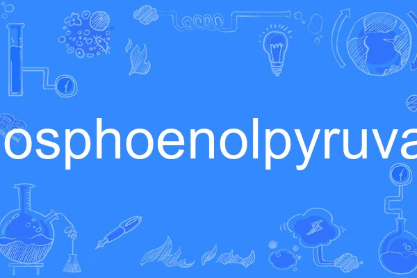 phosphoenolpyruvate phosphoenolpyruvate