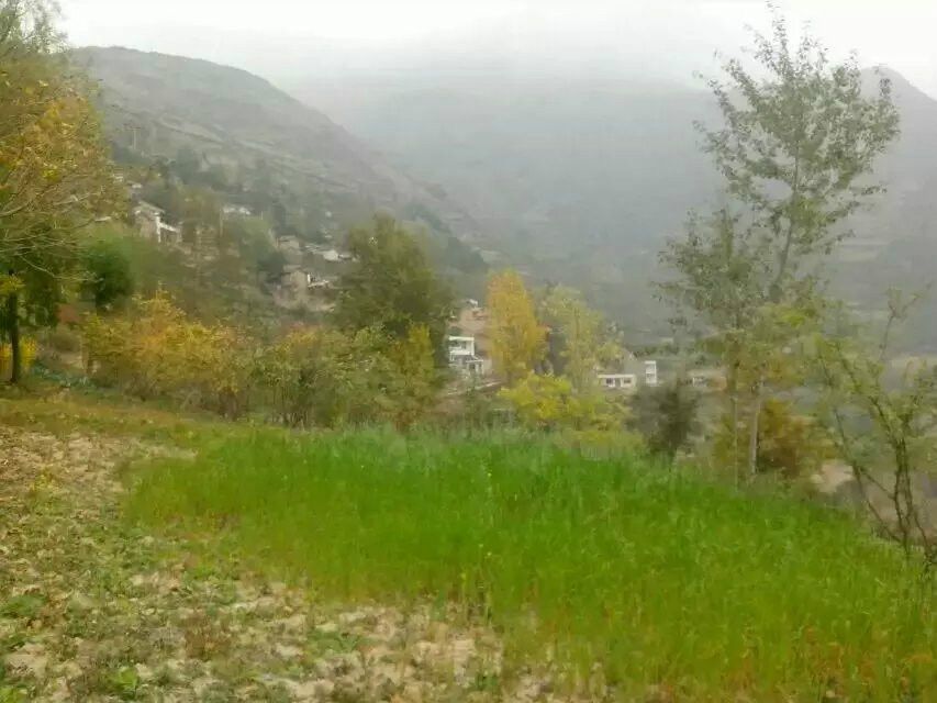 劉家塄村 劉家塄村