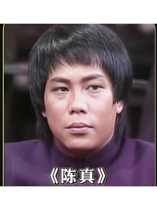 陳真(徐小明執導的電視劇《大俠霍元甲》和《陳真》中的角色) 陳真(徐小明執導的電視劇《大俠霍元甲》和《陳真》中的角色)