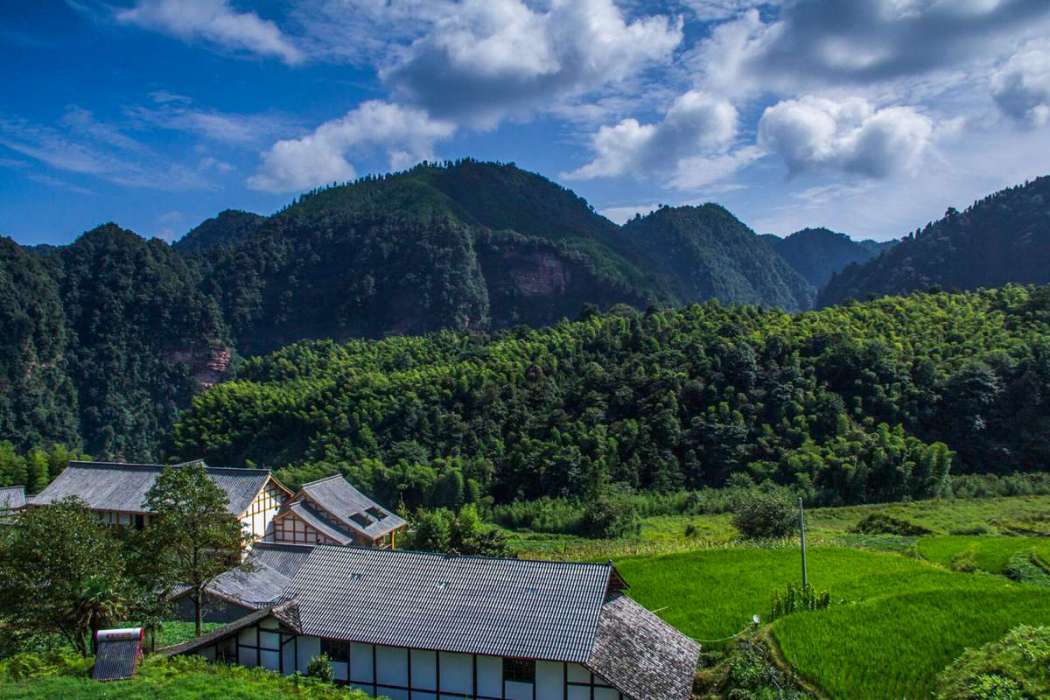 養得村