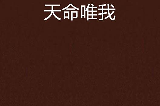 天命唯我 天命唯我