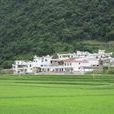 河陽鄉 河陽鄉