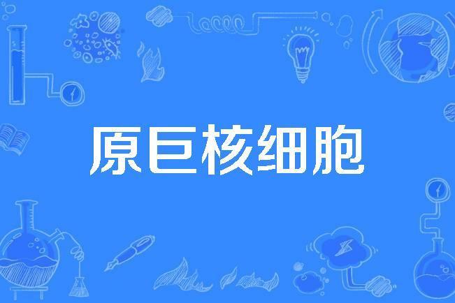 原巨核細胞 原巨核細胞