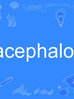 acephalous acephalous