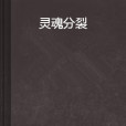 靈魂分裂(石達開是我弟所著的網路小說) 靈魂分裂(石達開是我弟所著的網路小說)