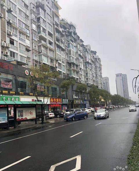 春華路(深圳市春華路) 春華路(深圳市春華路)