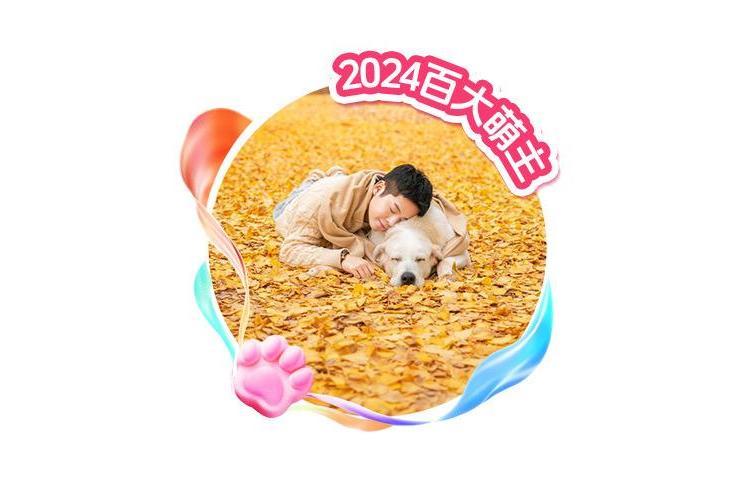 飛飛feifei(自媒體創作者) 飛飛feifei(自媒體創作者)