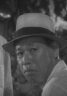 野良犬(1949年黑澤明執導日本電影)