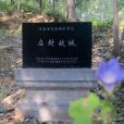 啟封故城 啟封故城