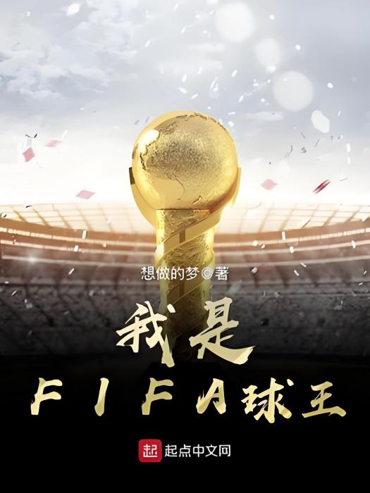 我是FIFA球王 我是FIFA球王