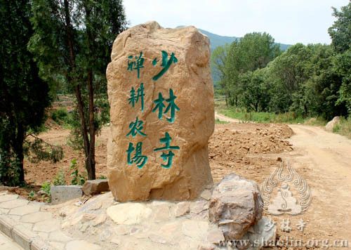 少林農場 少林農場