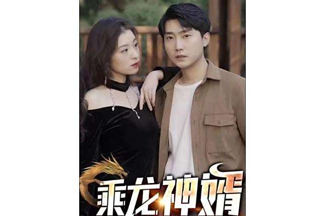 乘龍神婿
