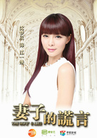 妻子的謊言(賈青、張曉龍主演電視劇)