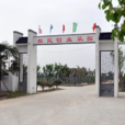 金鳳村(四川巴中市漁溪鎮下轄村) 金鳳村(四川巴中市漁溪鎮下轄村)