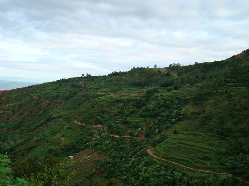 舍多小村 舍多小村