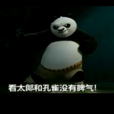 熊貓之歌