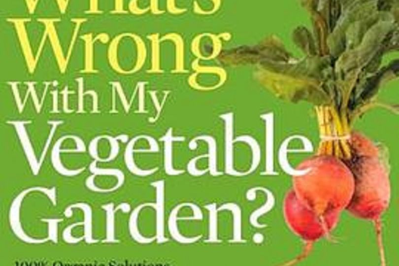 What\x27s Wrong With My Vegetable Garden? What\x27s Wrong With My Vegetable Garden?