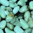 玉質(玉雕種類) 玉質(玉雕種類)