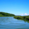 廣西壯族自治區山口紅樹林生態自然保護區(山口紅樹林自然保護區)