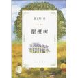 甜橙樹 甜橙樹