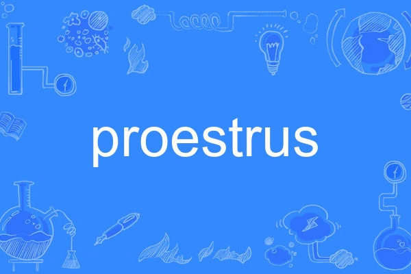 proestrus proestrus