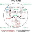 反中子 反中子