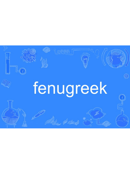 fenugreek fenugreek