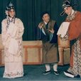 望江亭(京劇劇目) 望江亭(京劇劇目)