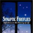 Synaptic Fireflies Synaptic Fireflies