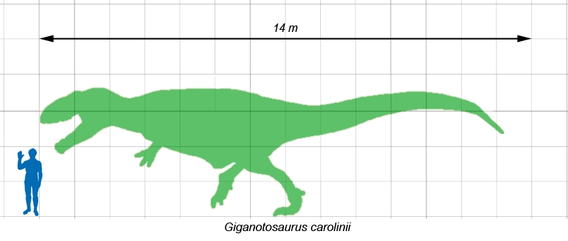 南方巨獸龍與人類大小比較