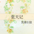 張天記 張天記